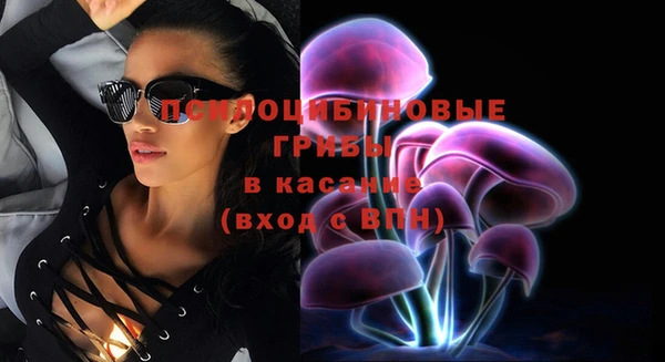 ALPHA PVP Алзамай
