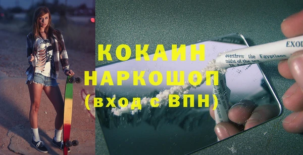 мет Алексин
