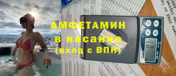 мет Алексин