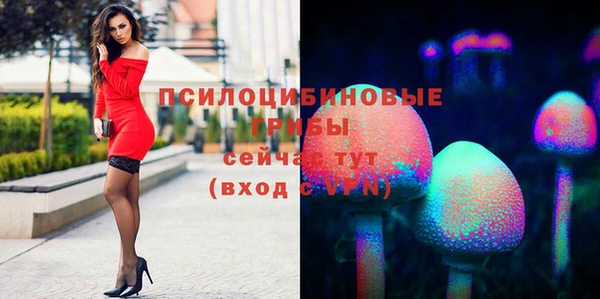 мяу мяу мука Алексеевка