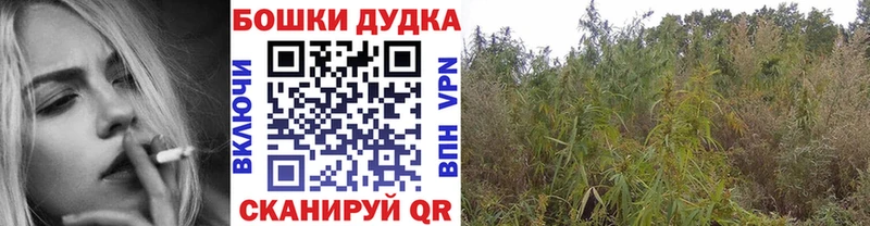 Канабис Amnesia  Купить закладки  Сочи 